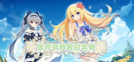 初开在平安夜之花